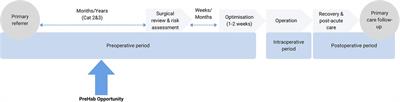 Development of a feasible and acceptable digital prehabilitation pathway to improve elective surgical outcomes